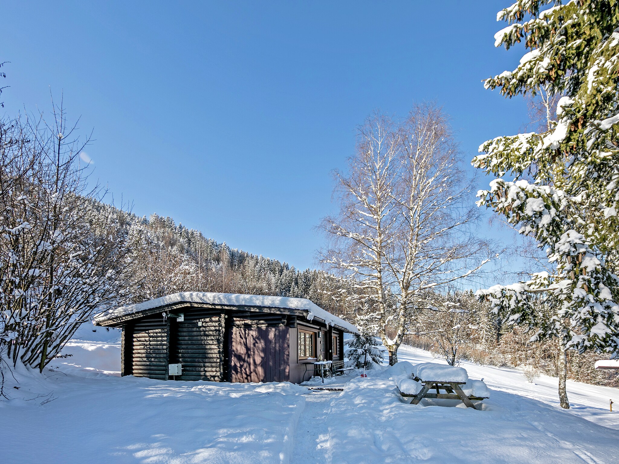 Vacation home Chalet im Brixental I