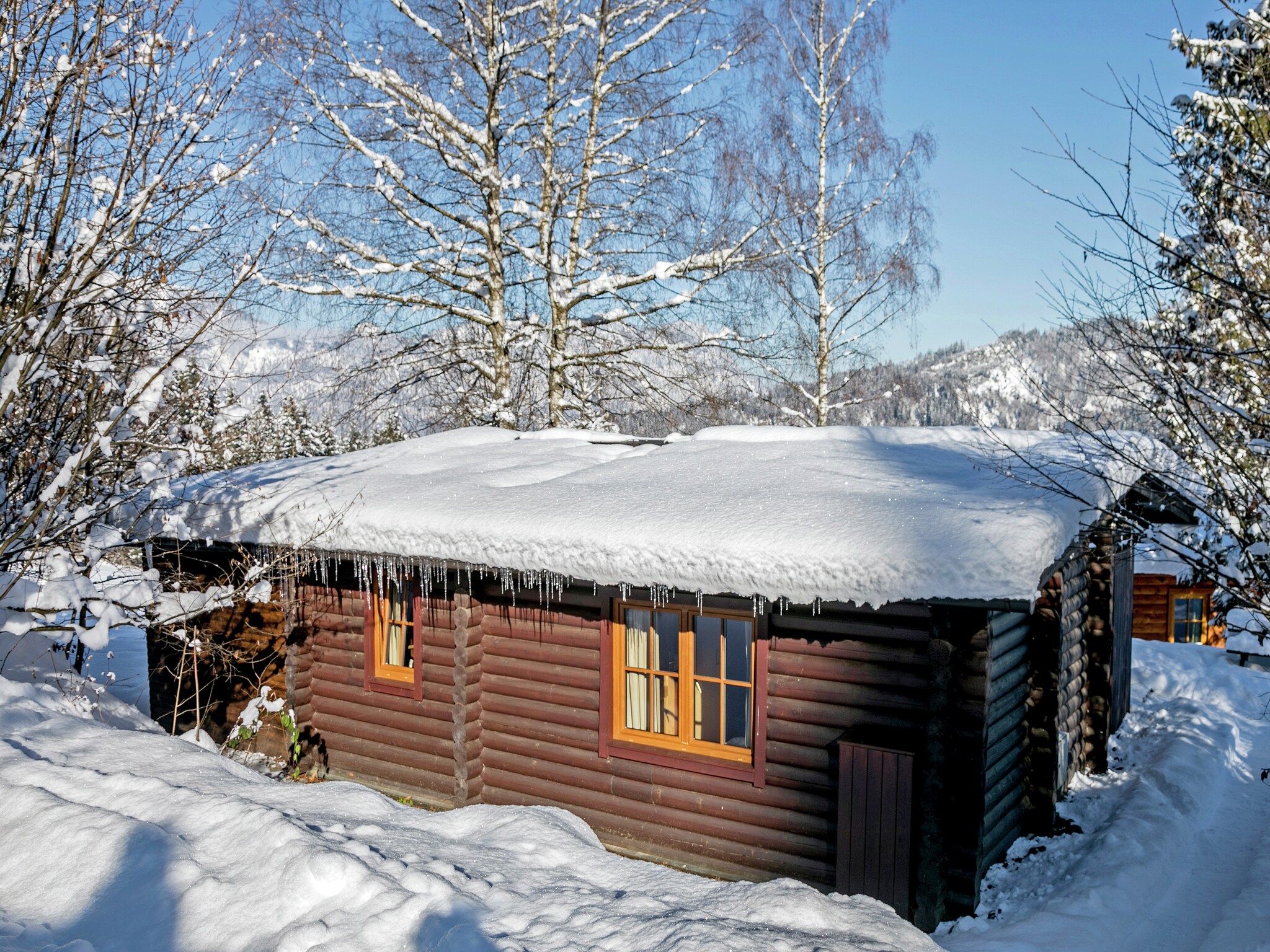 Vacation home Chalet im Brixental I