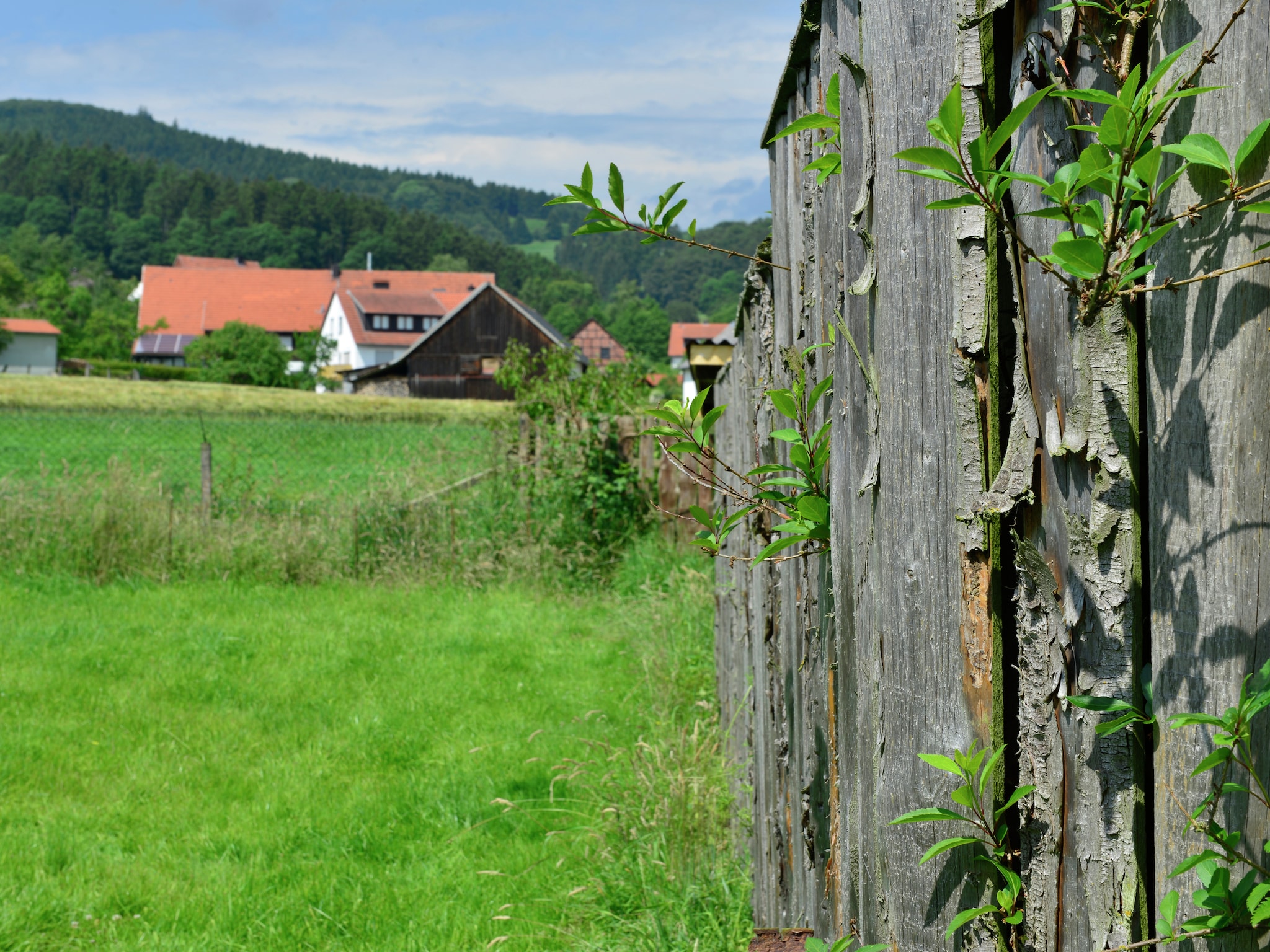   Sauerland - Diemelsee
