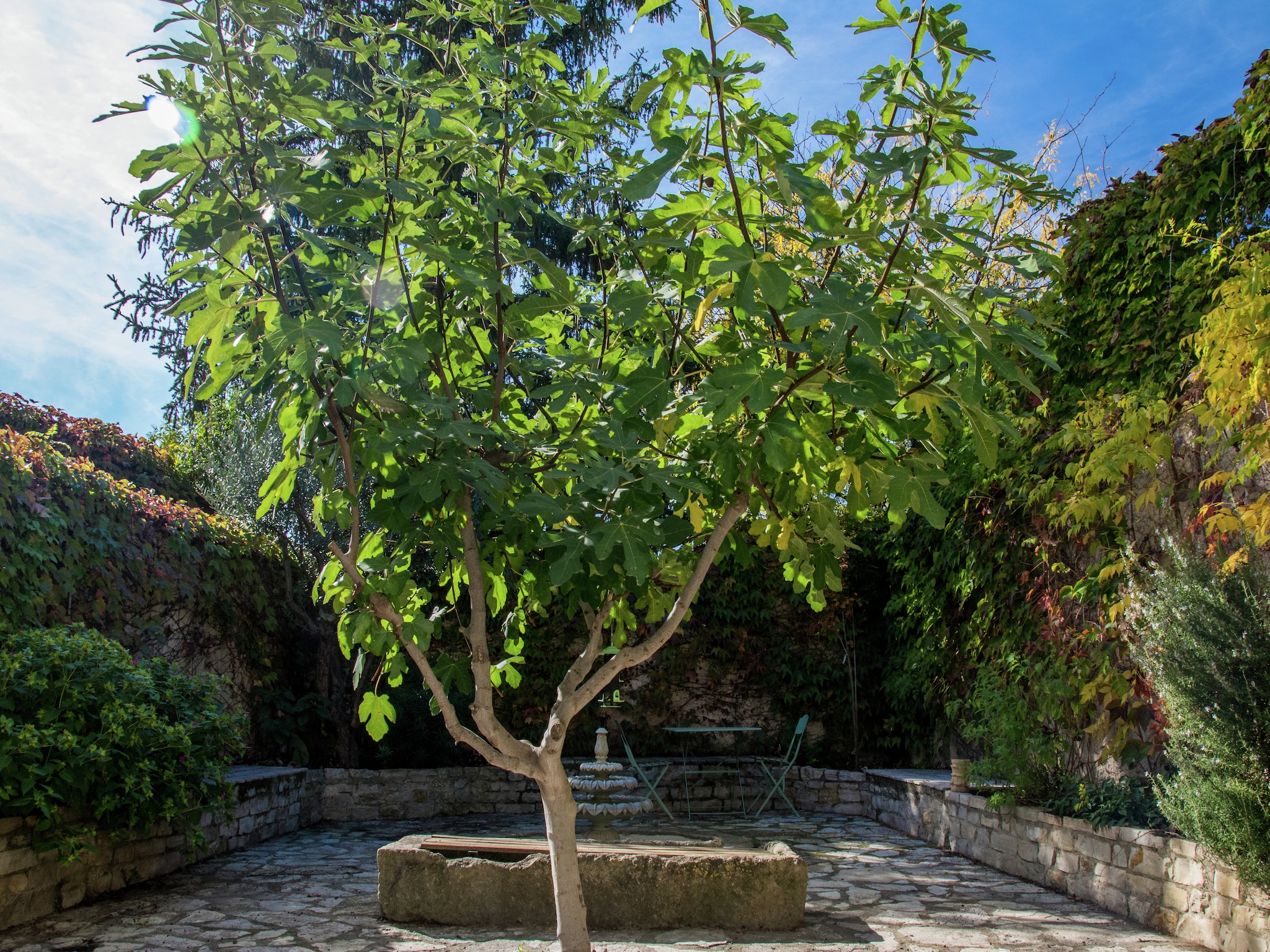   Au coeur du Languedoc