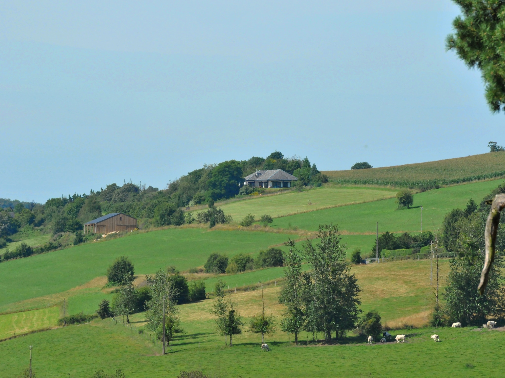   La Chevalerie