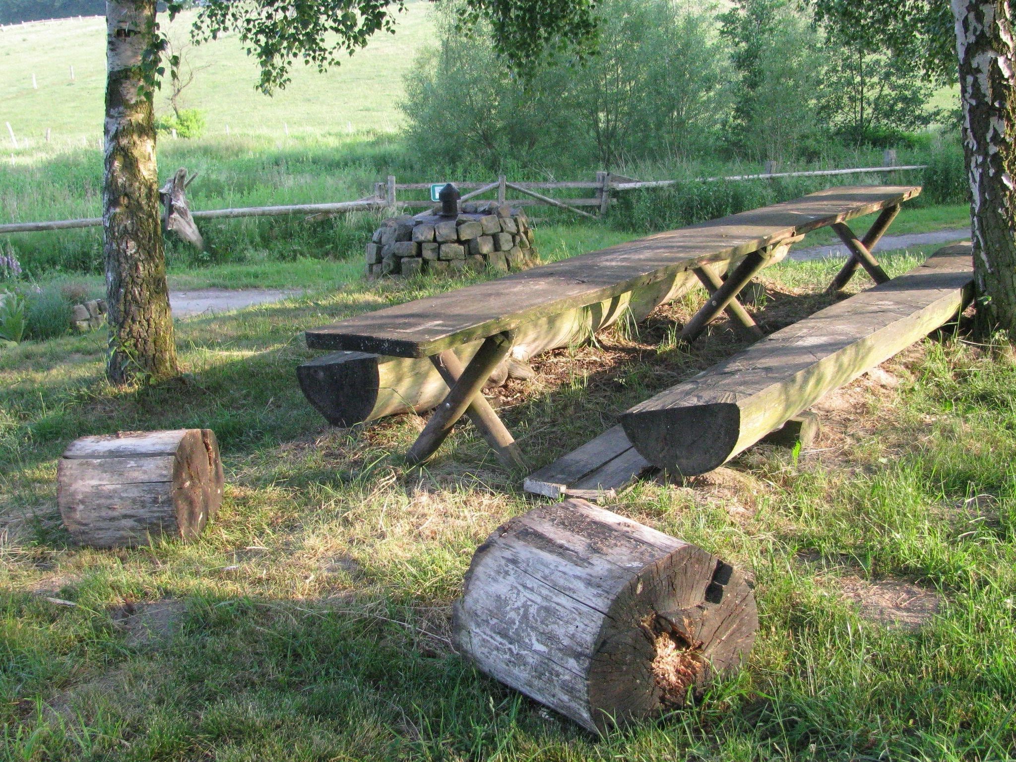   Im Teutoburger Wald