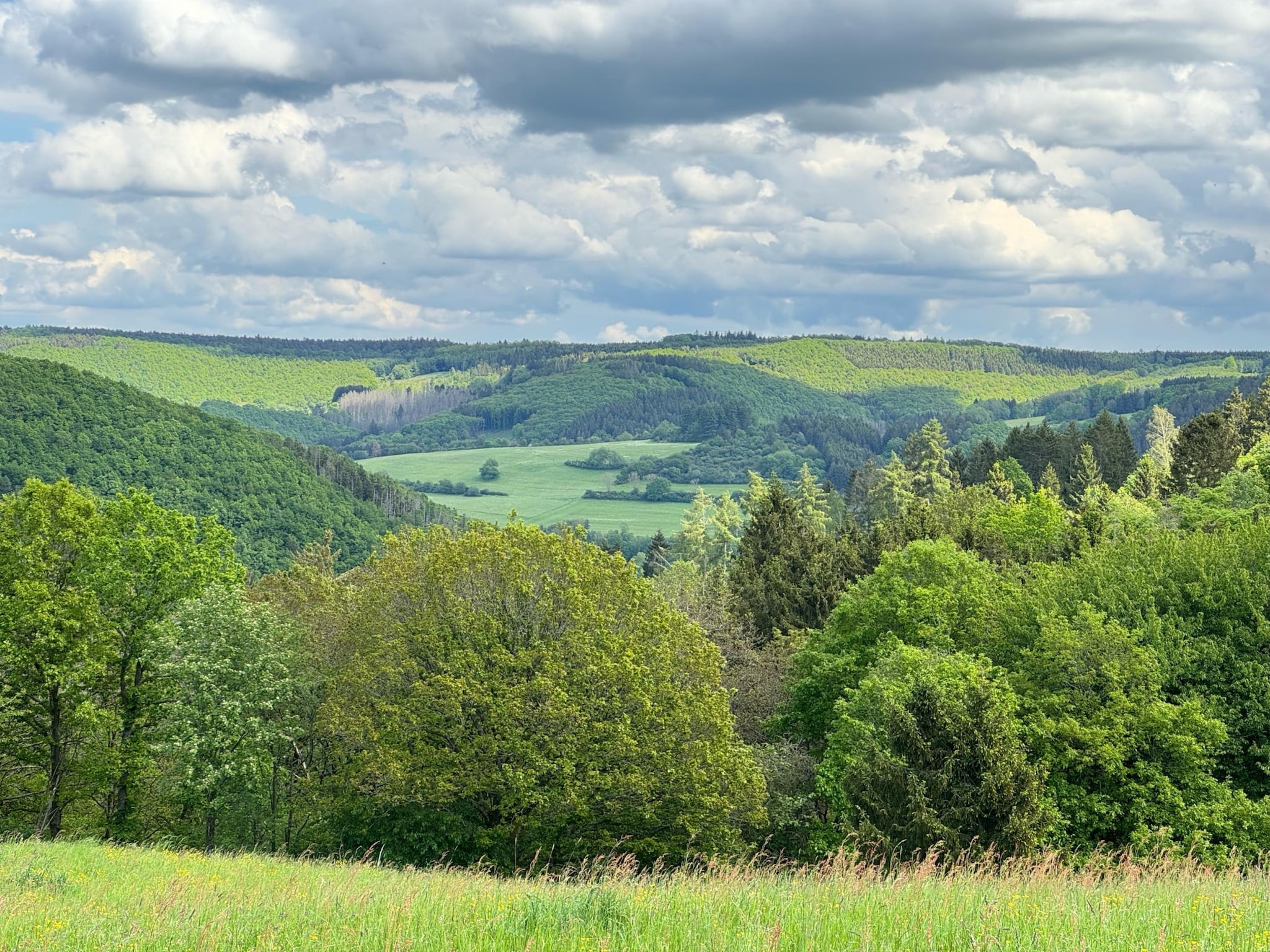   Groepshuis Eifel