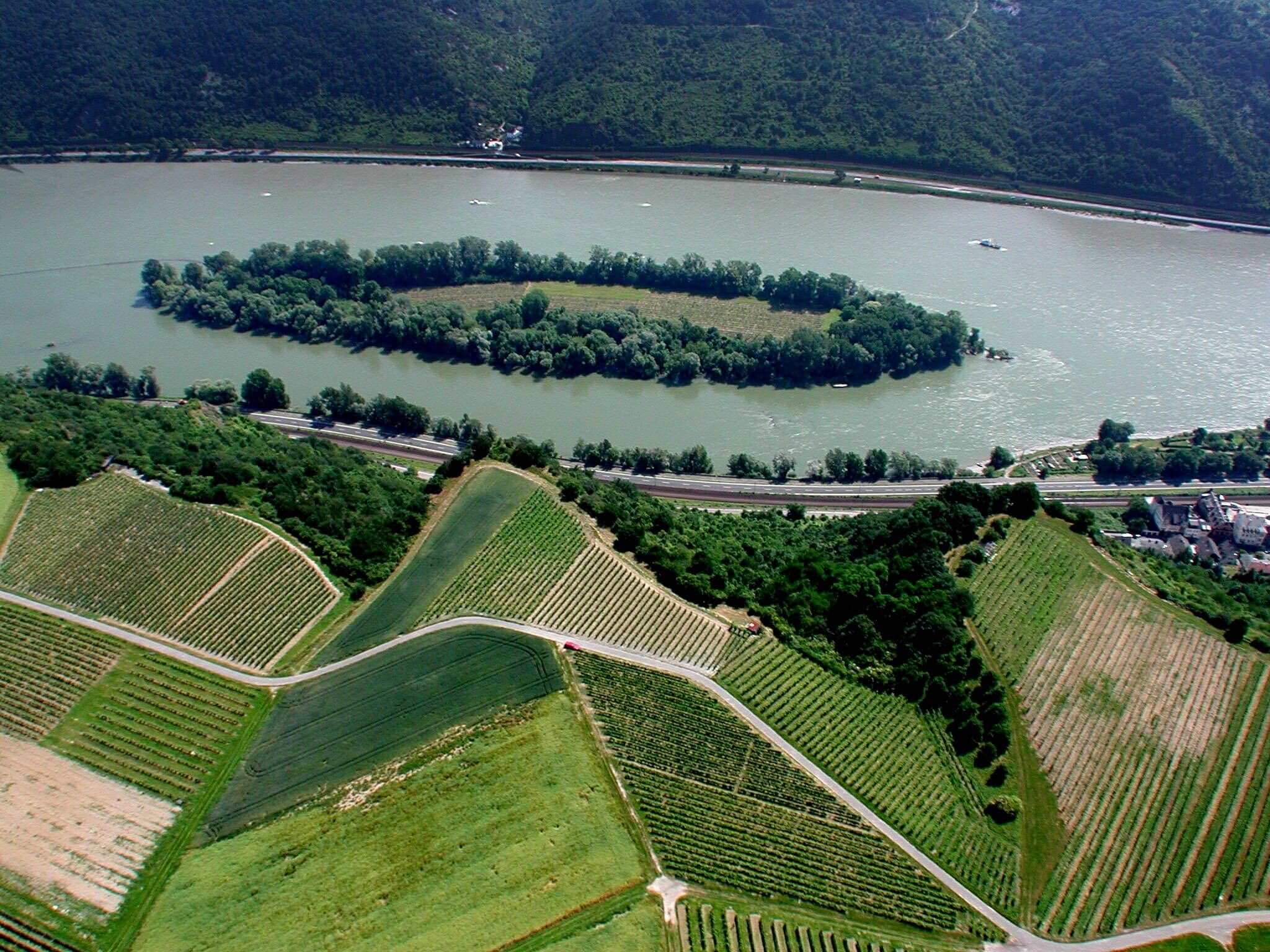   Le grain d orge