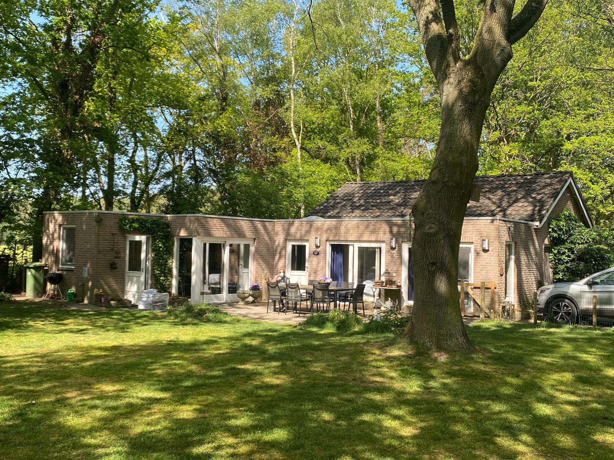   Vier Vogelenzang