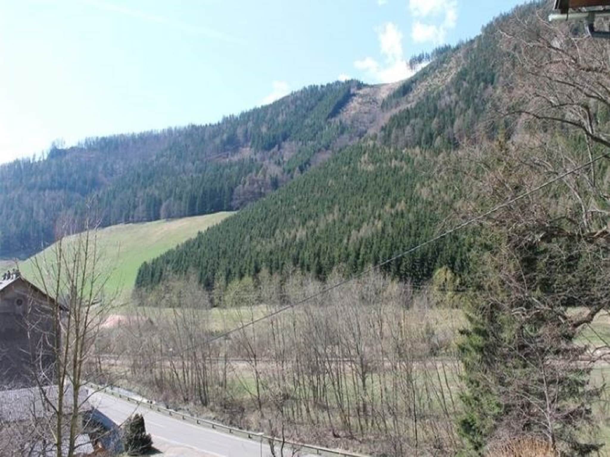 Leilighet Pircher