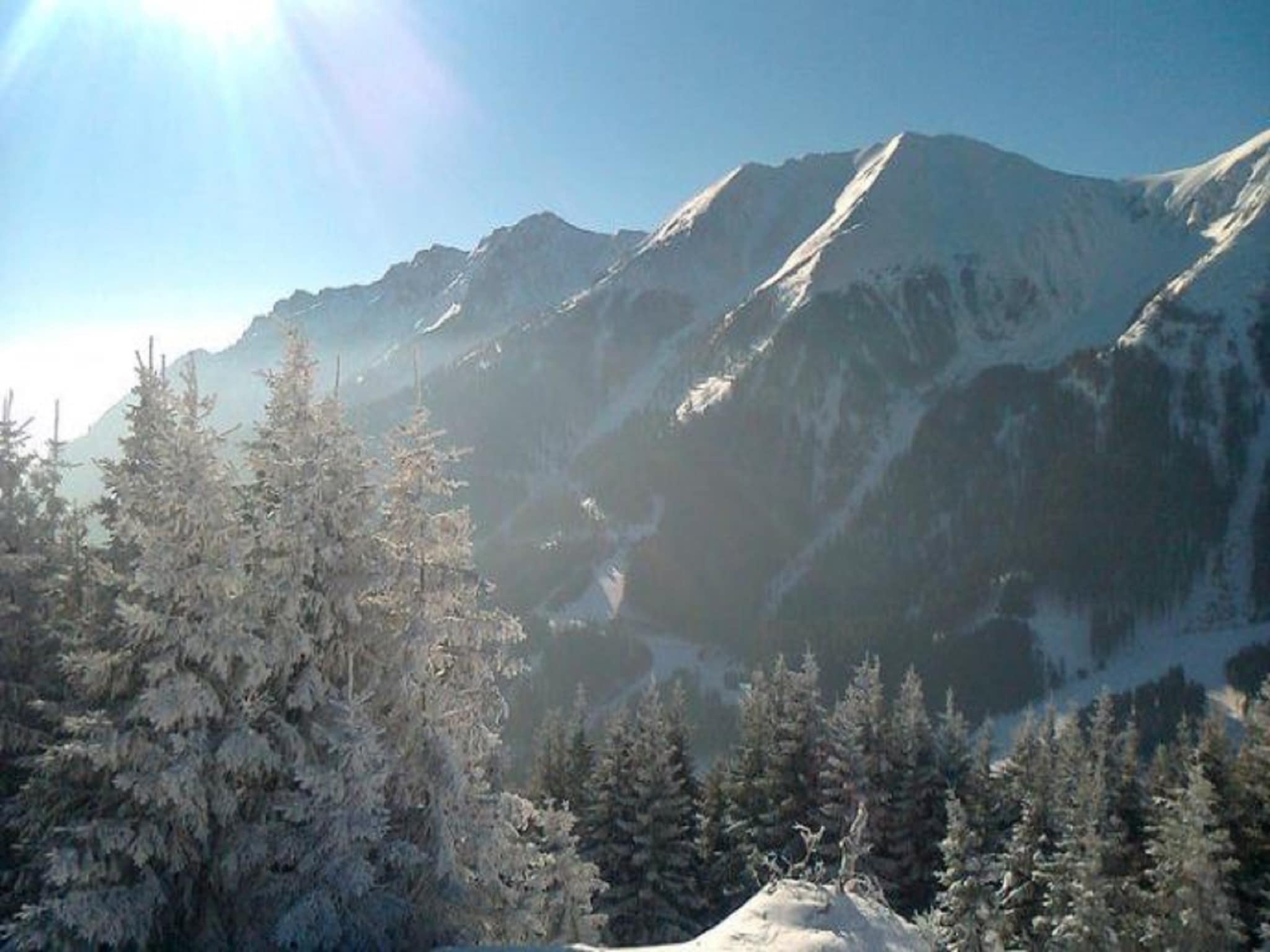 Leilighet Pircher