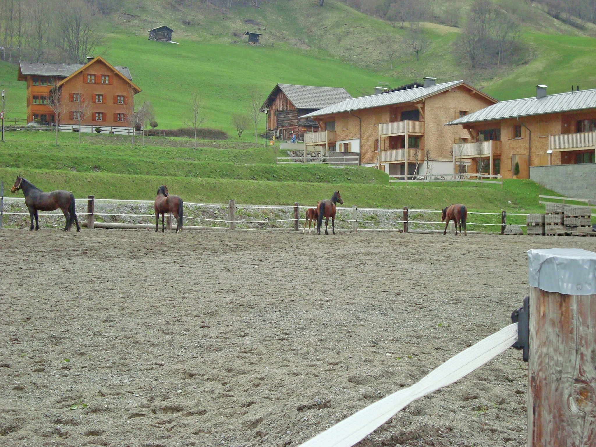 Ferienhaus Mountain Lodge Brand