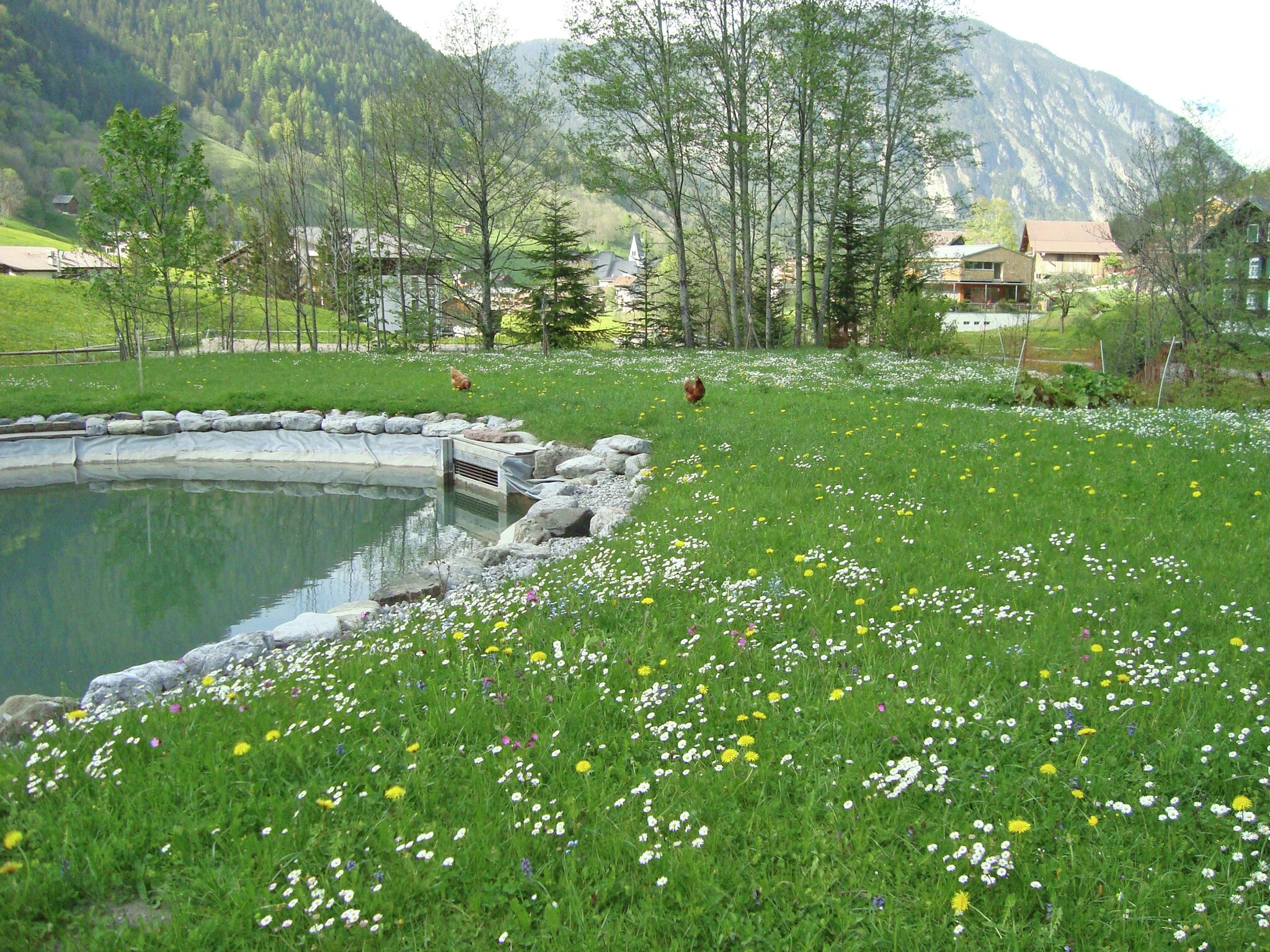 Ferienhaus Mountain Lodge Brand