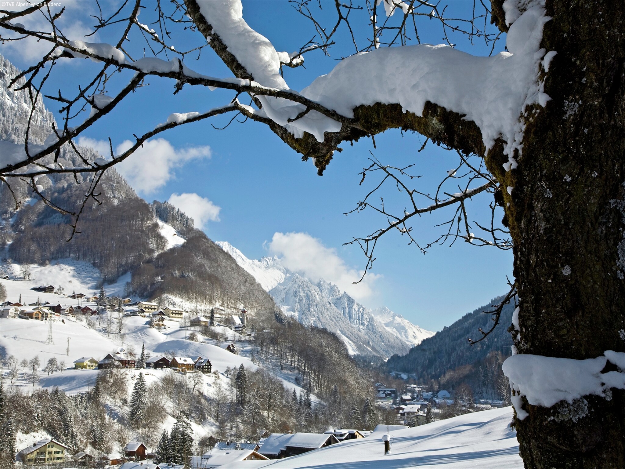 Ferienhaus Mountain Lodge Brand
