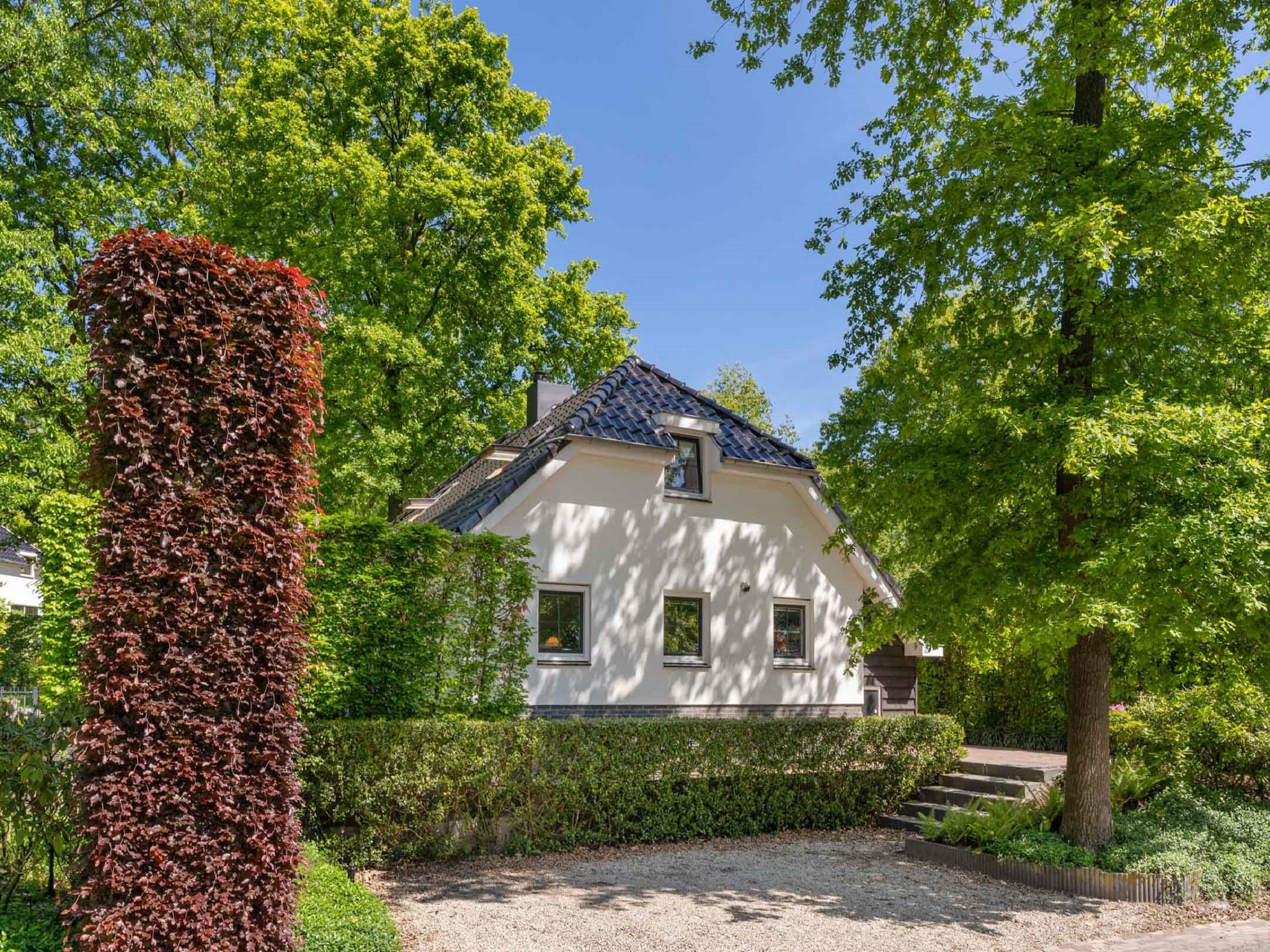 Dom Landgoed De Scheleberg 5