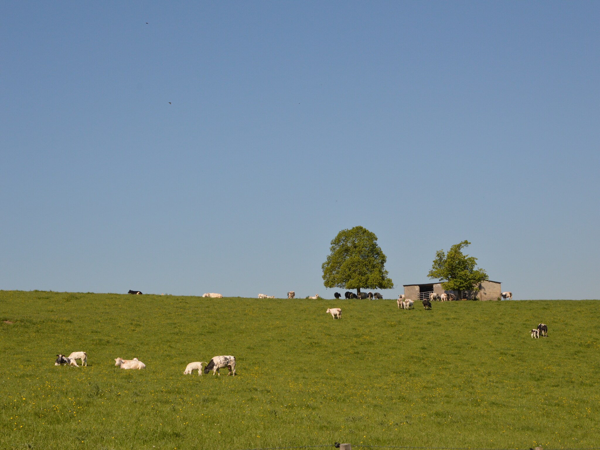 Vakantiehuis Offagne