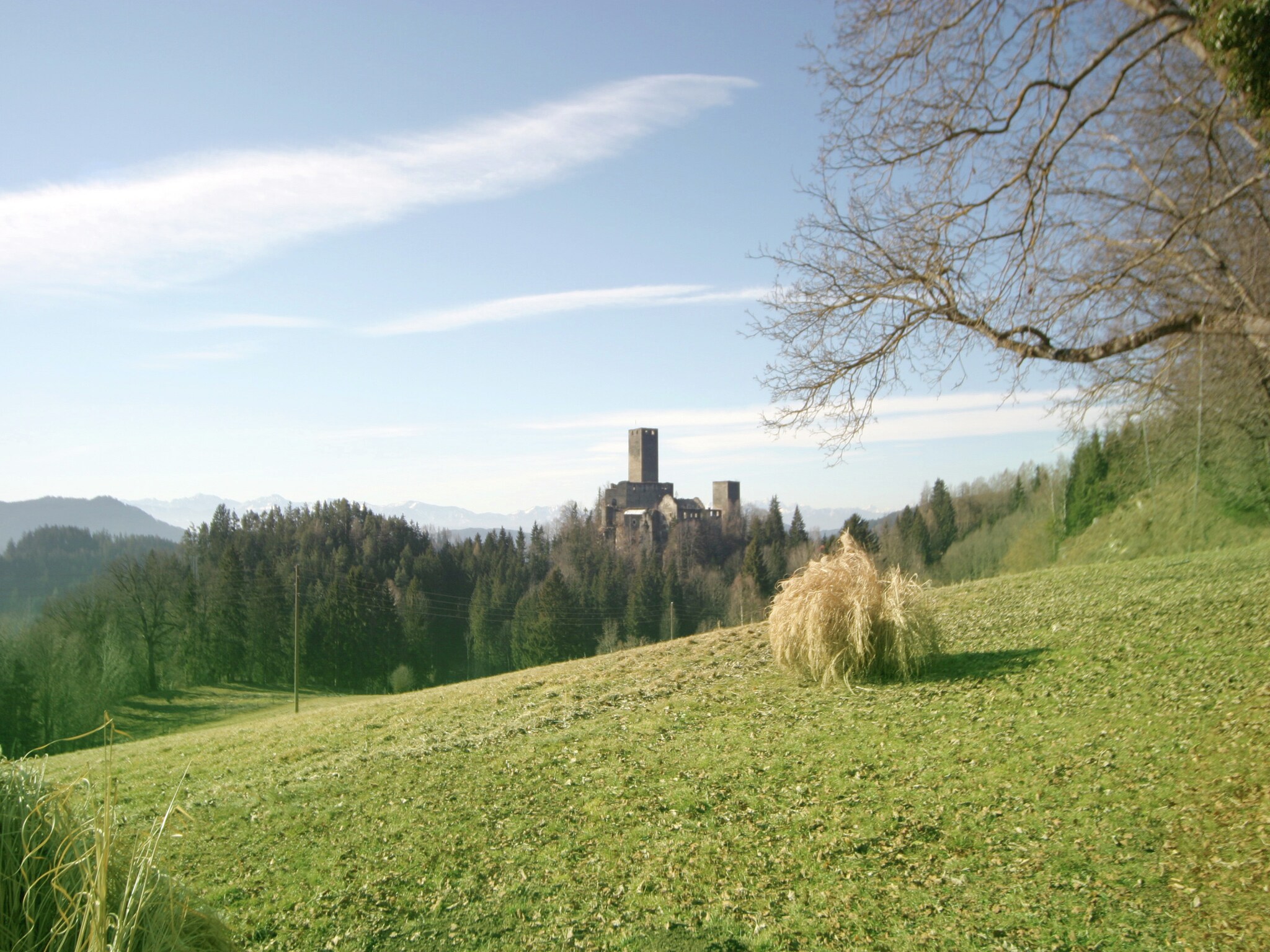   Grosser Troadkasten