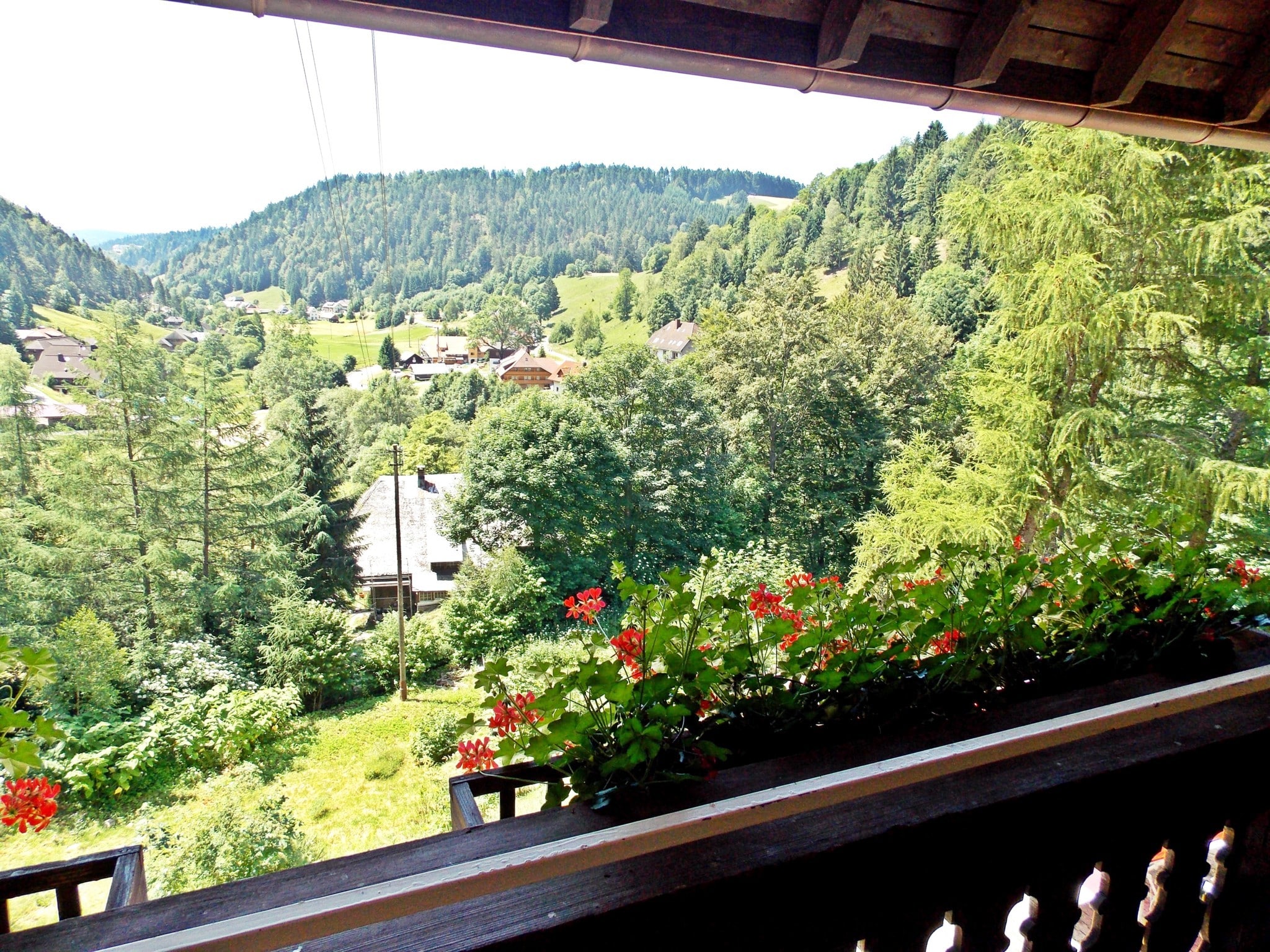   Schwarzwald