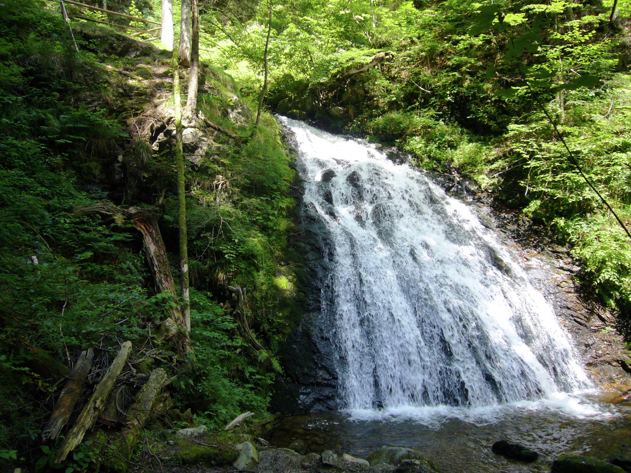   Schwarzwald