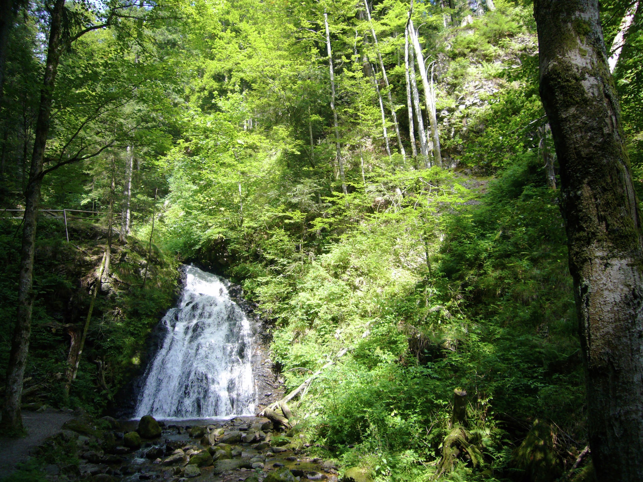   Schwarzwald
