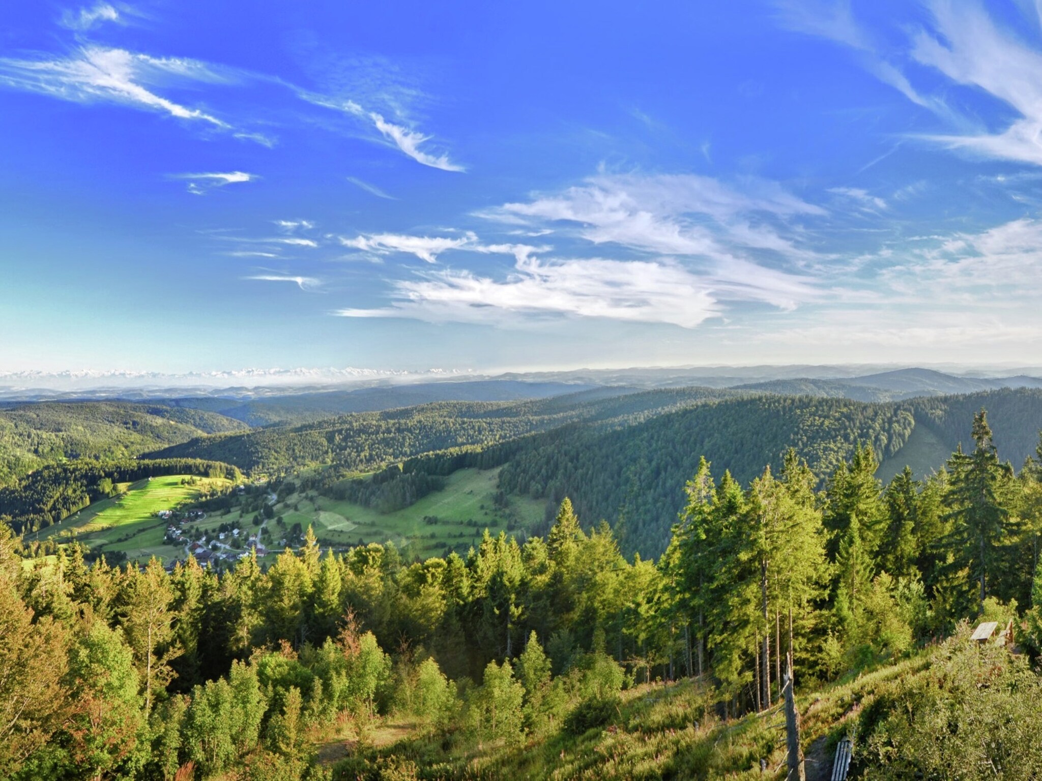   Schwarzwald