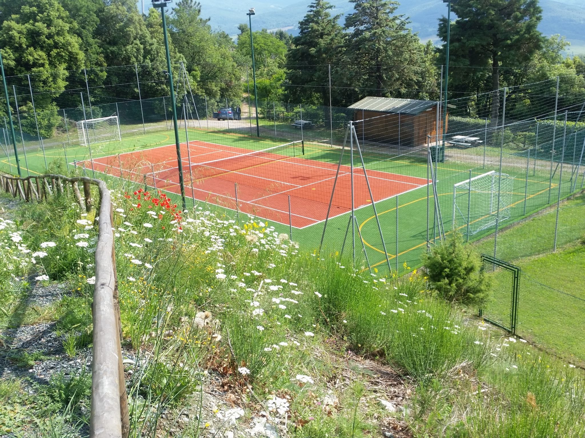   Cennini