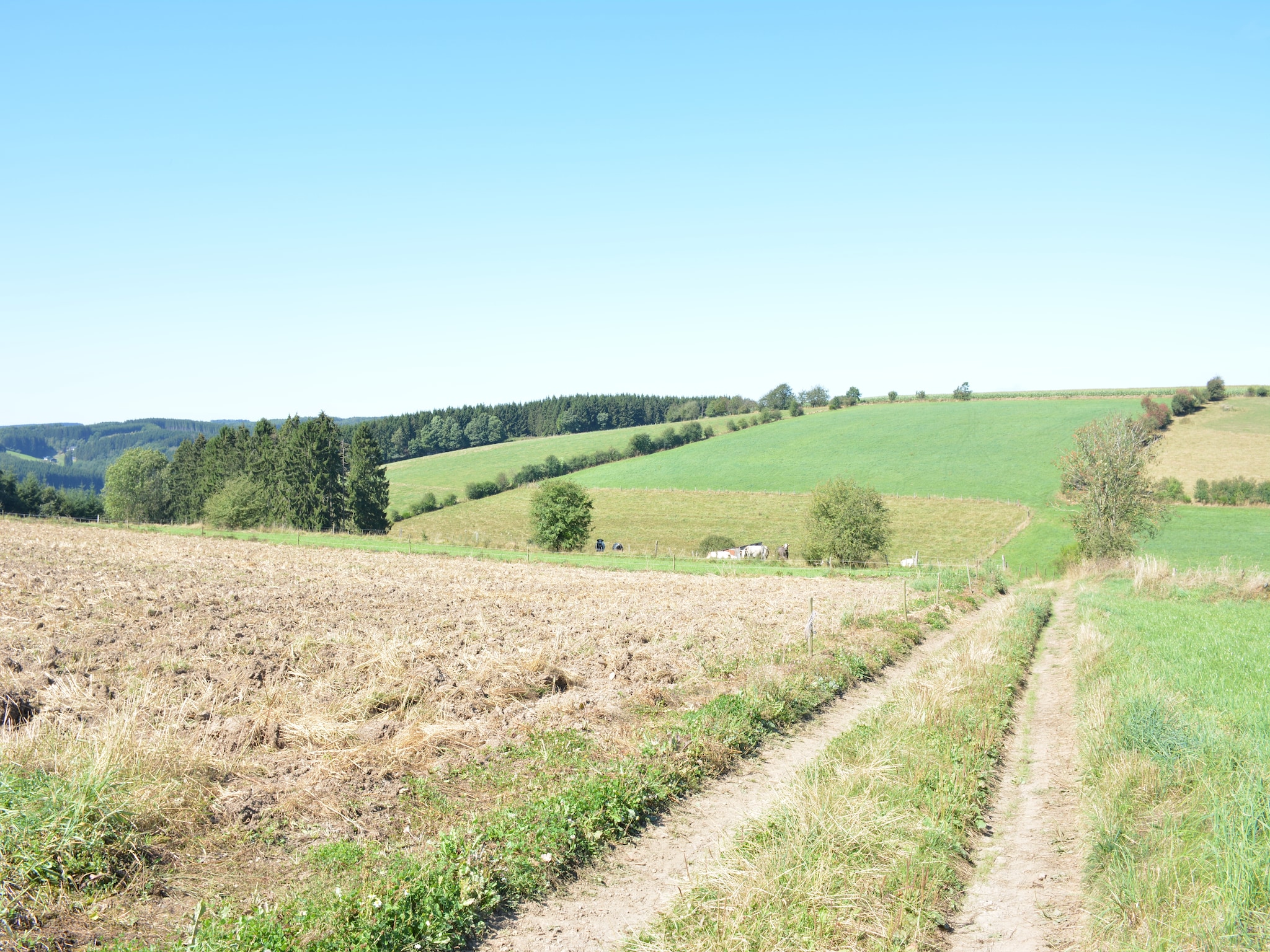   Aux Hirondelles