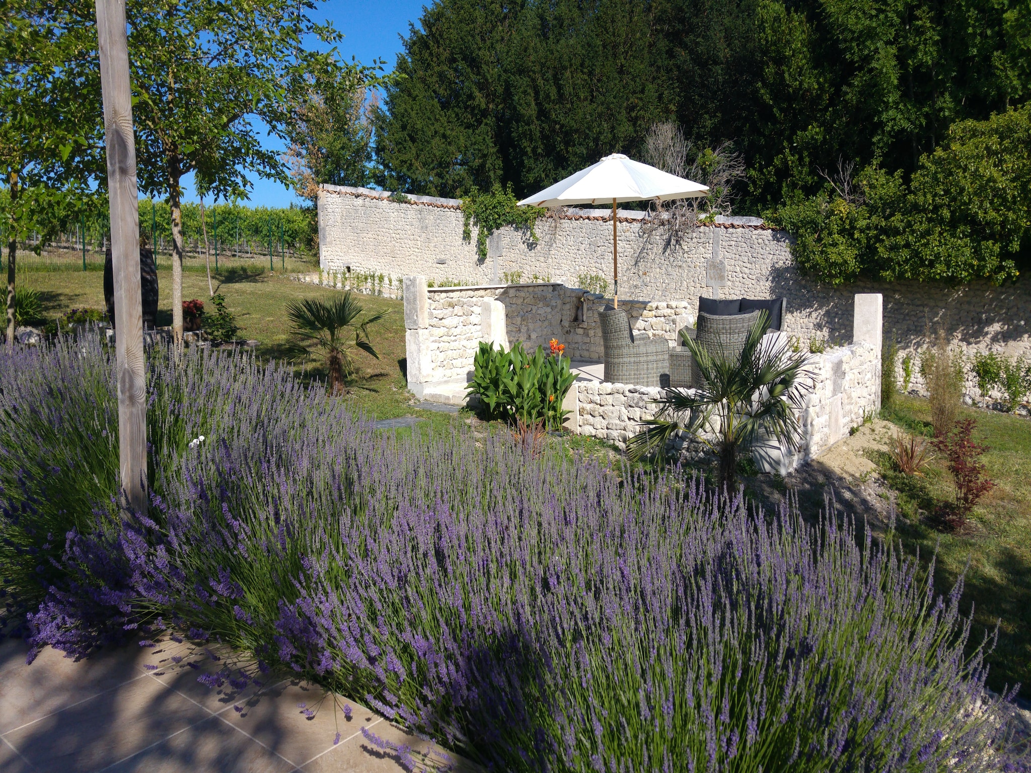   Maison mitoyenne avec piscine
