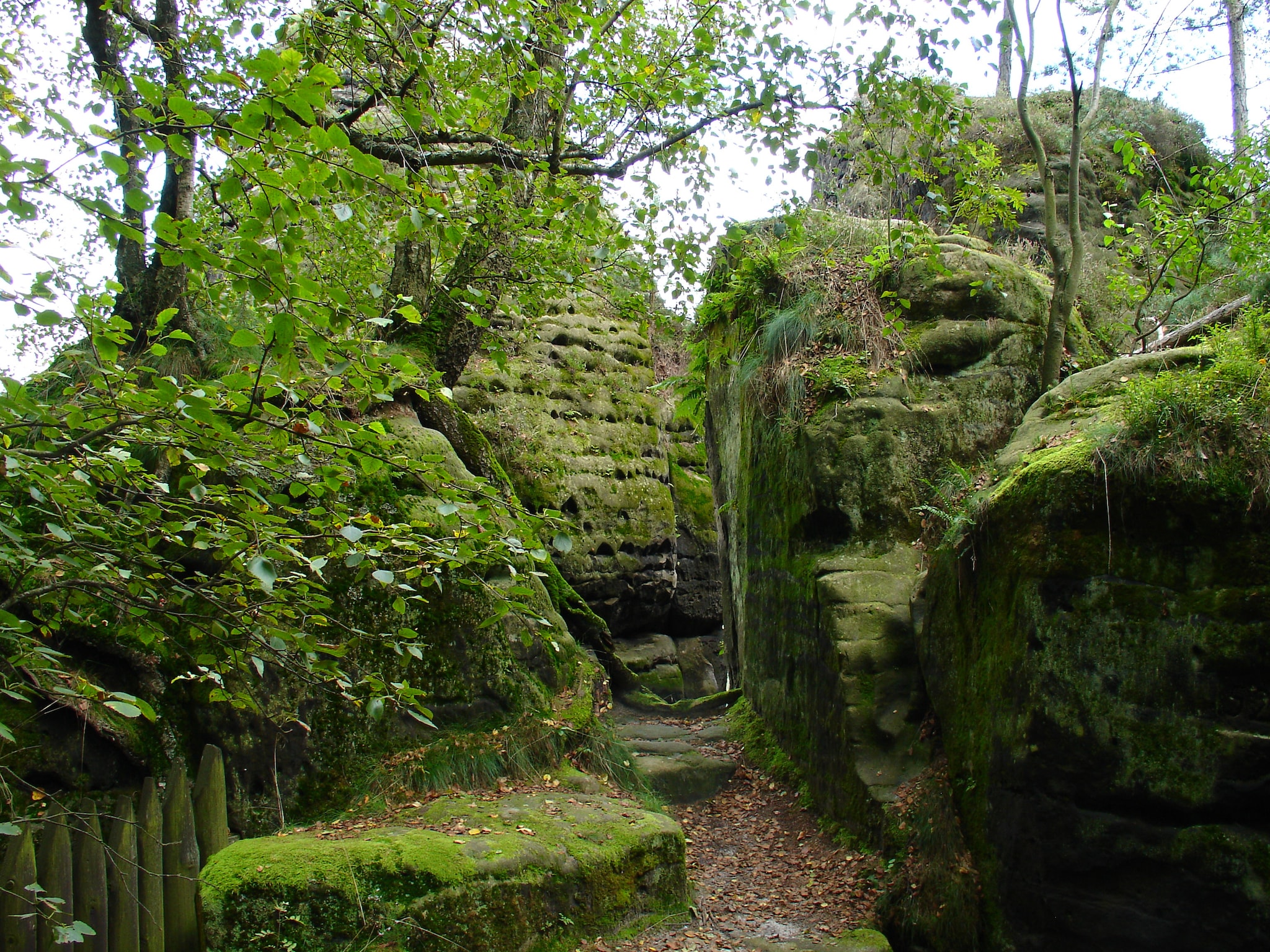Ferienwohnung Bastei