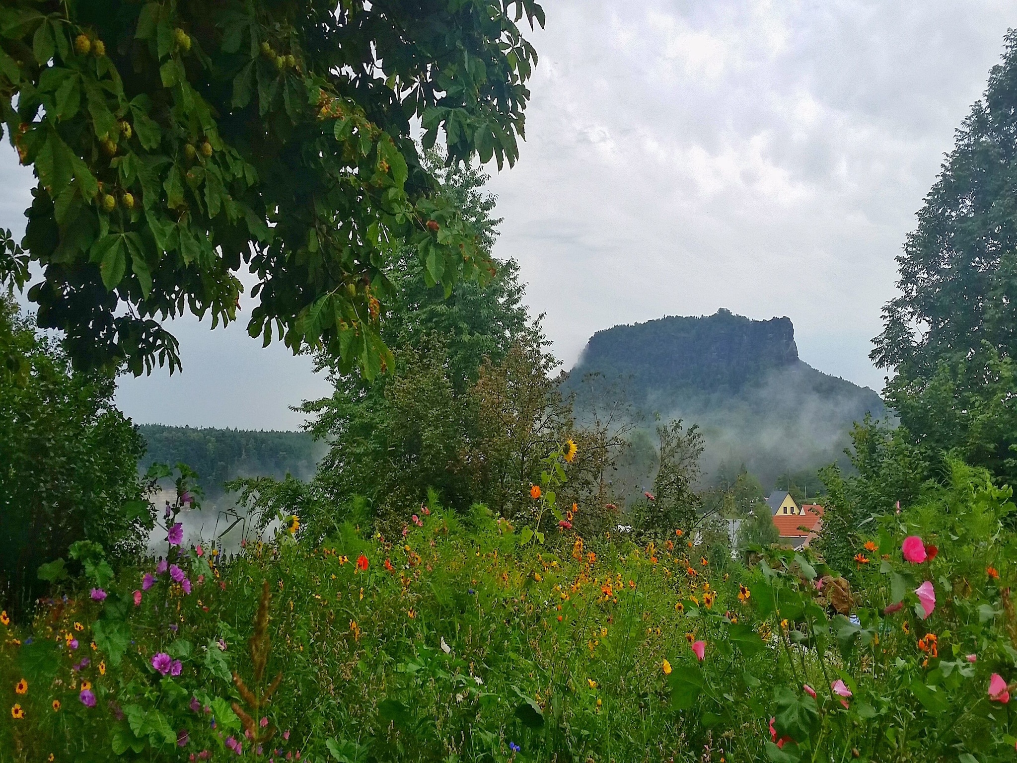 Ferienwohnung Bastei
