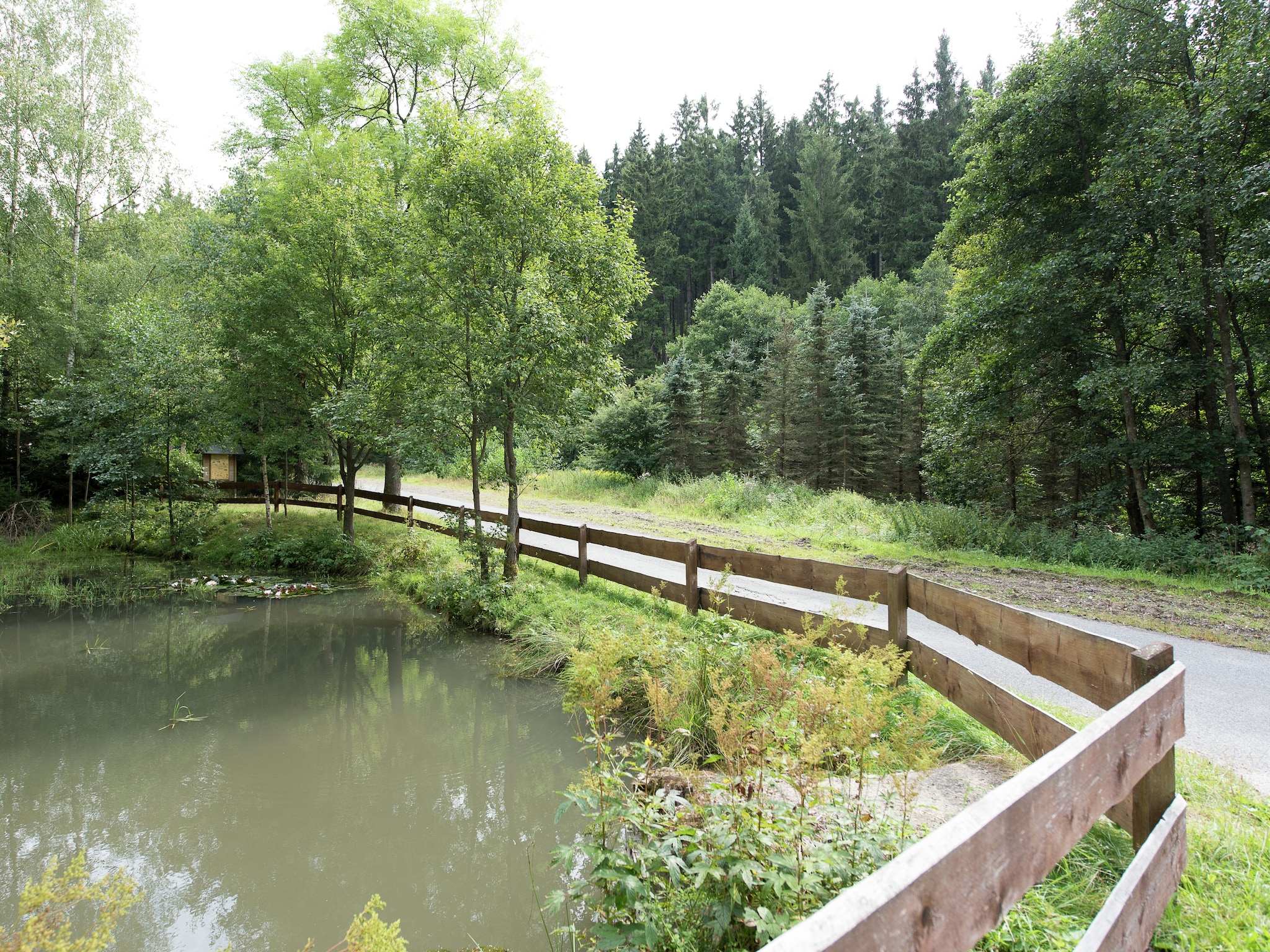 Ferienwohnung Im Erzgebirge