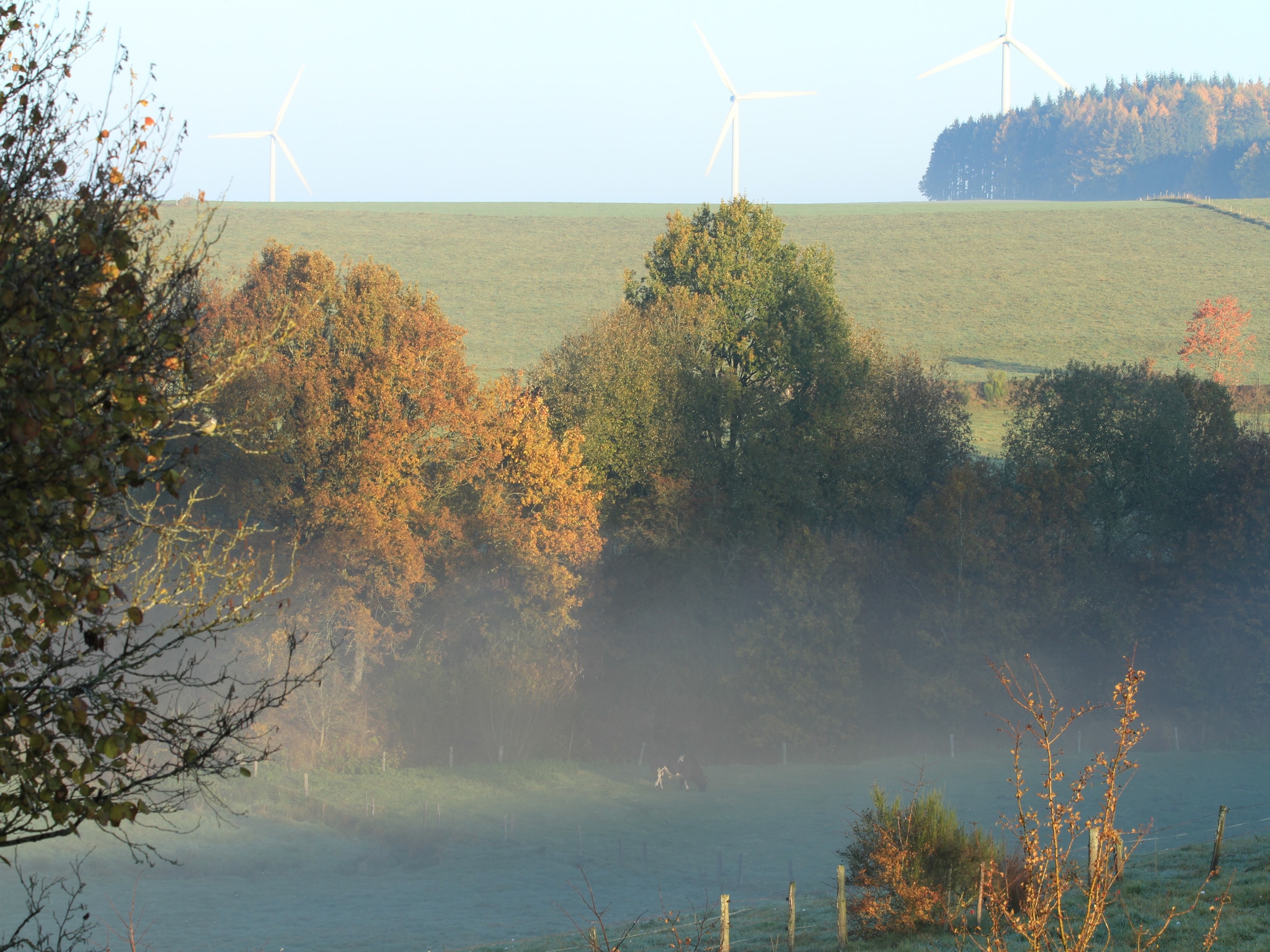 Feriebolig La grande détente à la campagne