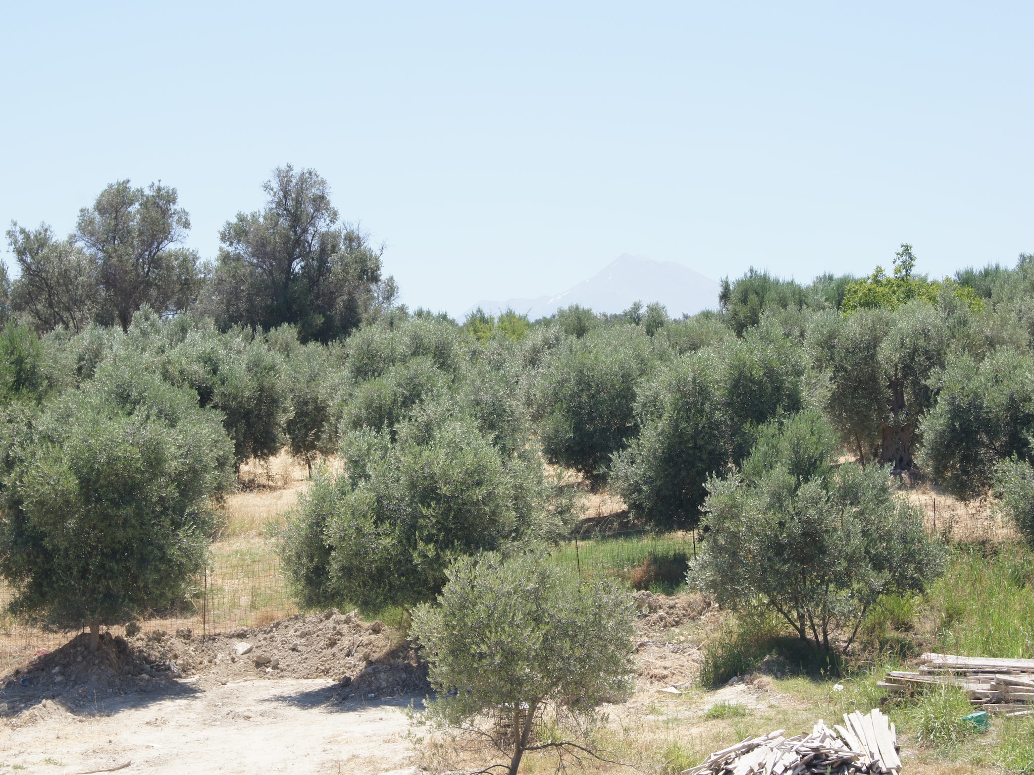 Semesterhus Villa Pelagia