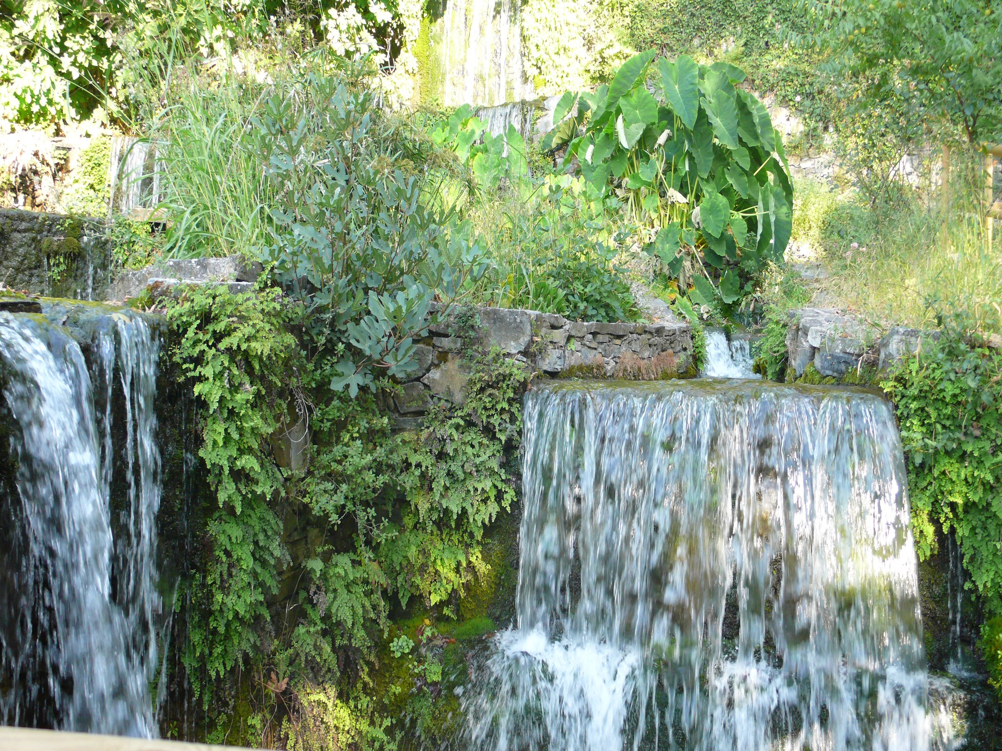 Semesterhus Villa Pelagia