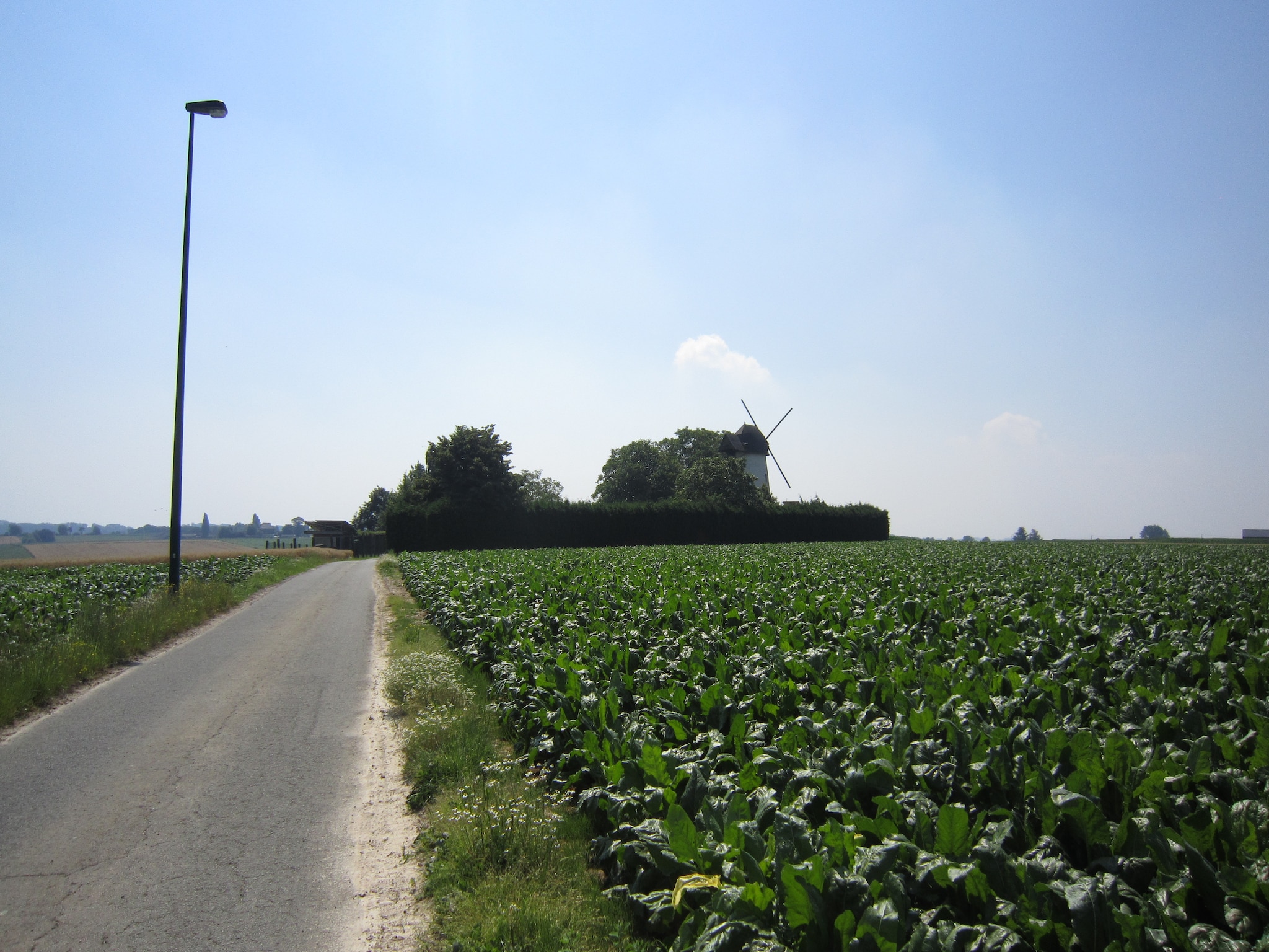   De Reus van Horebeke