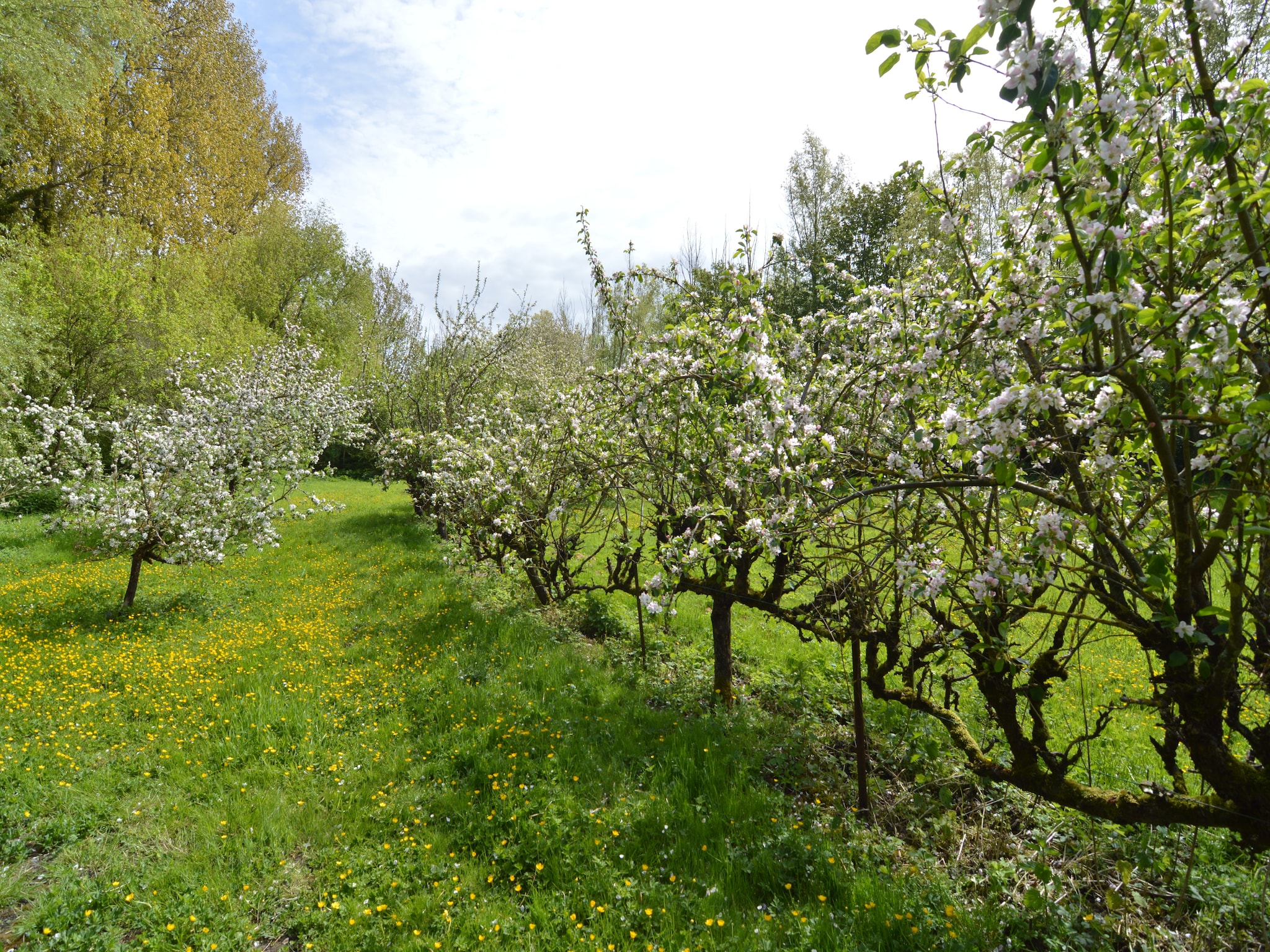   Domaine Les Ziettes