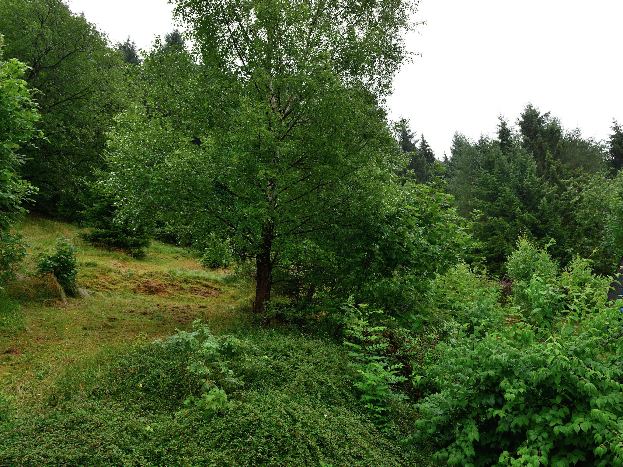 Appartement Willingen