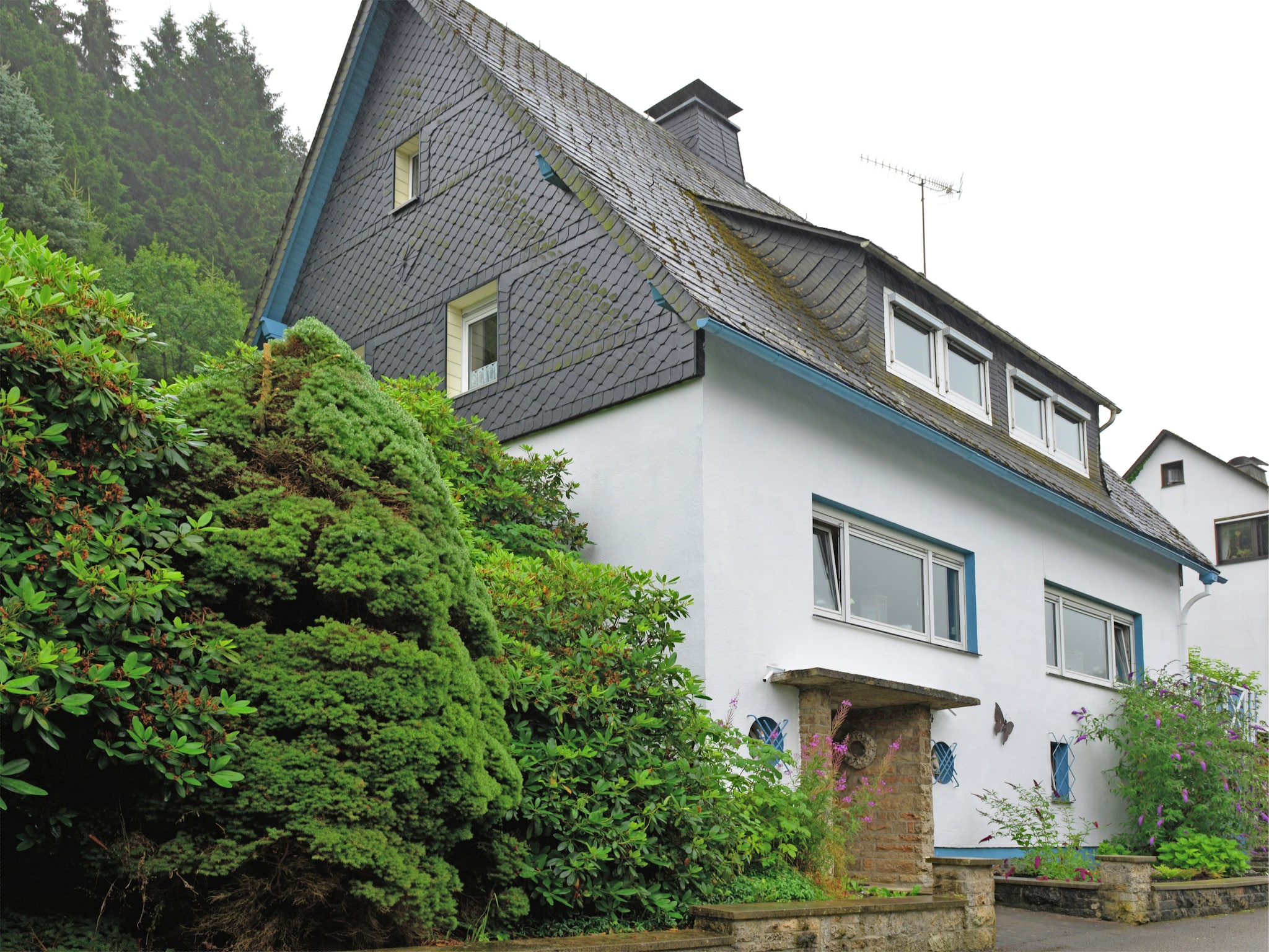 Appartement Willingen