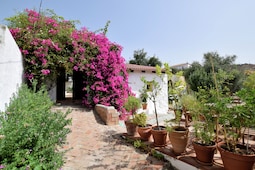 Casa Pippa