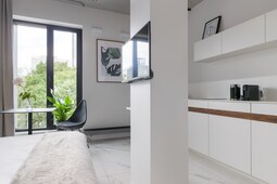 Deluxe studio apartment