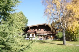 Kamin