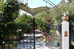 Olive Tree Cottage No 2