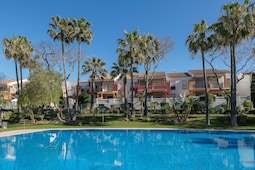 Oasis Playero