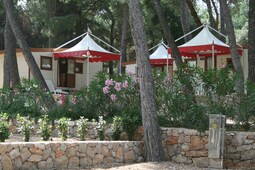 Village Poljana 2