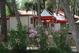 Village Poljana 2