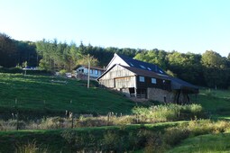 Auf der Schneidemühle
