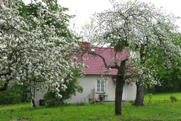 Domek Udrycze