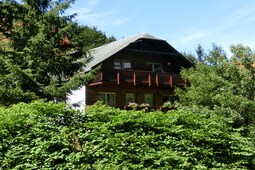 Waldblick