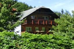 Waldblick