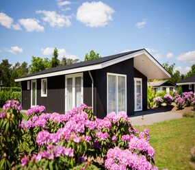 Shortstay vacation rentals Netherlands