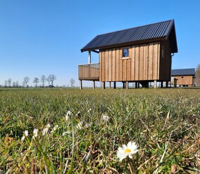 Shortstay vacation rentals Netherlands