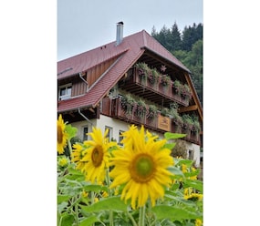 Shortstay vacation rentals Germany