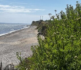 Shortstay vacation rentals Germany