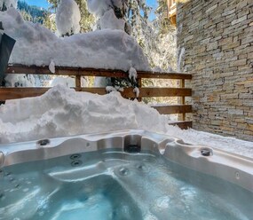 Shortstay vacation rentals France